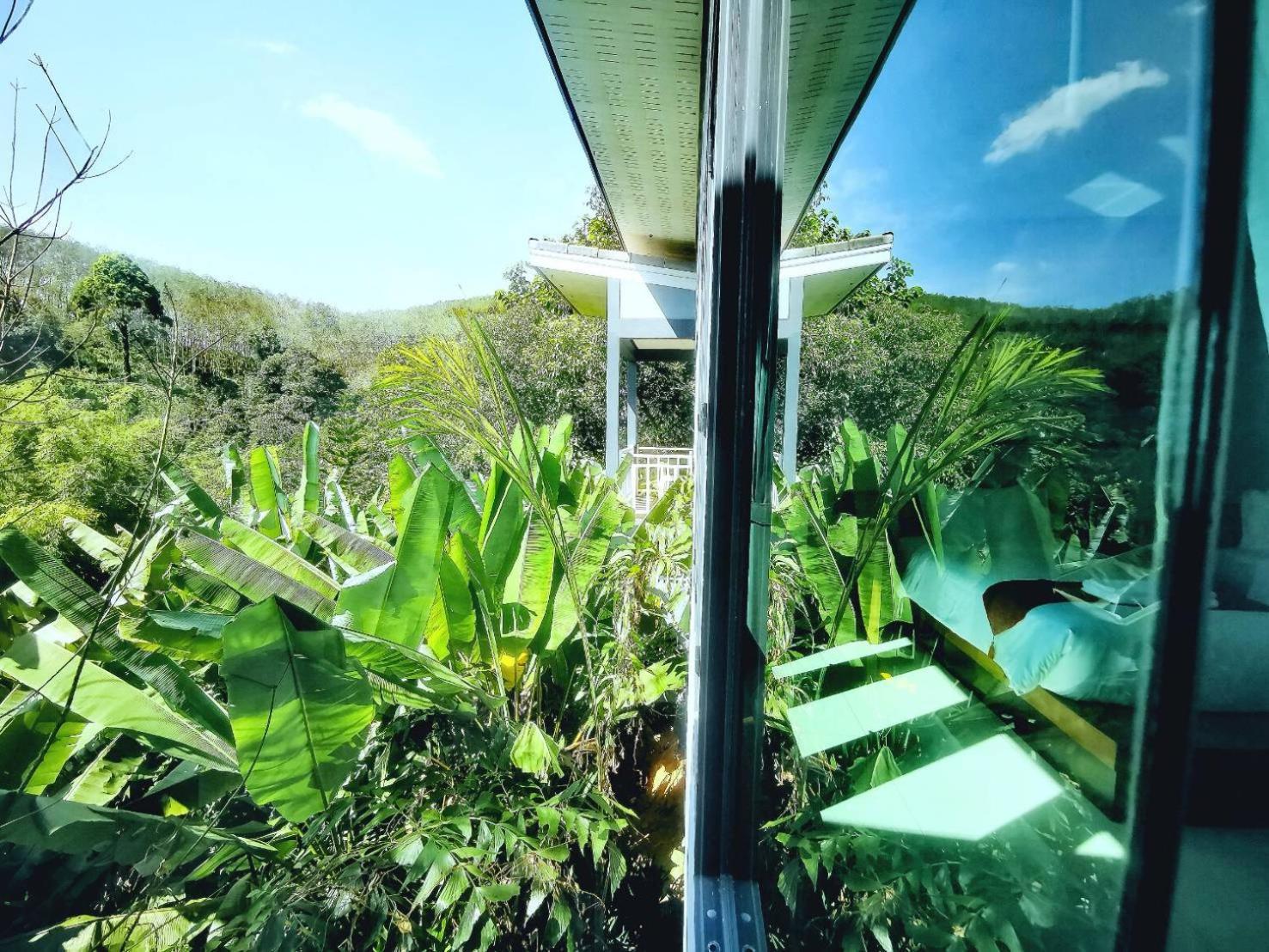 Bangnu Greenery Resort Takua Thung Bagian luar foto