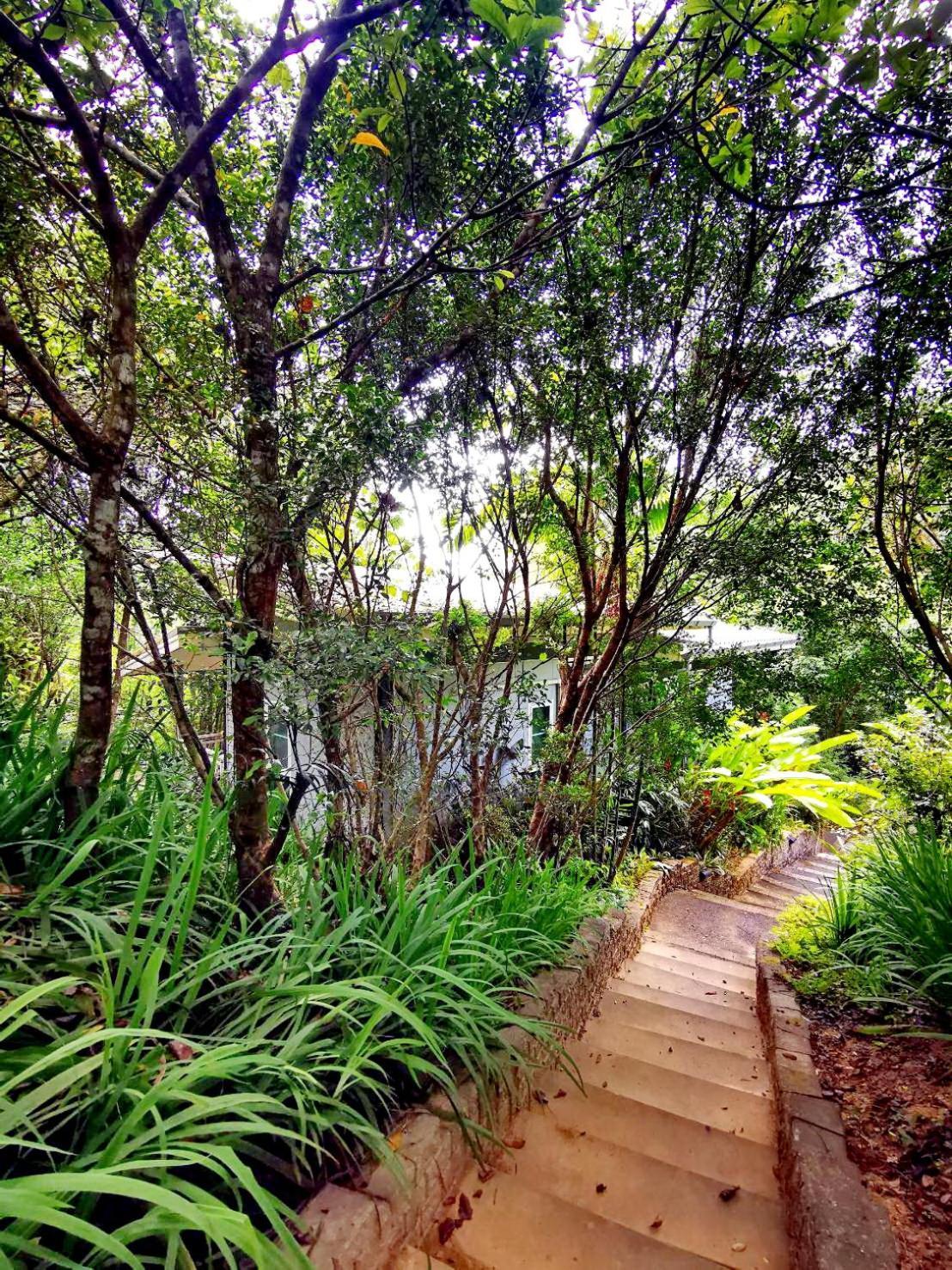Bangnu Greenery Resort Takua Thung Bagian luar foto