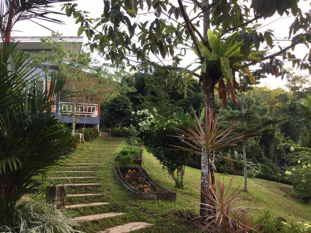 Bangnu Greenery Resort Takua Thung Bagian luar foto