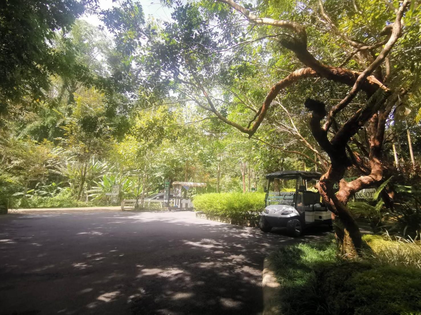Bangnu Greenery Resort Takua Thung Bagian luar foto