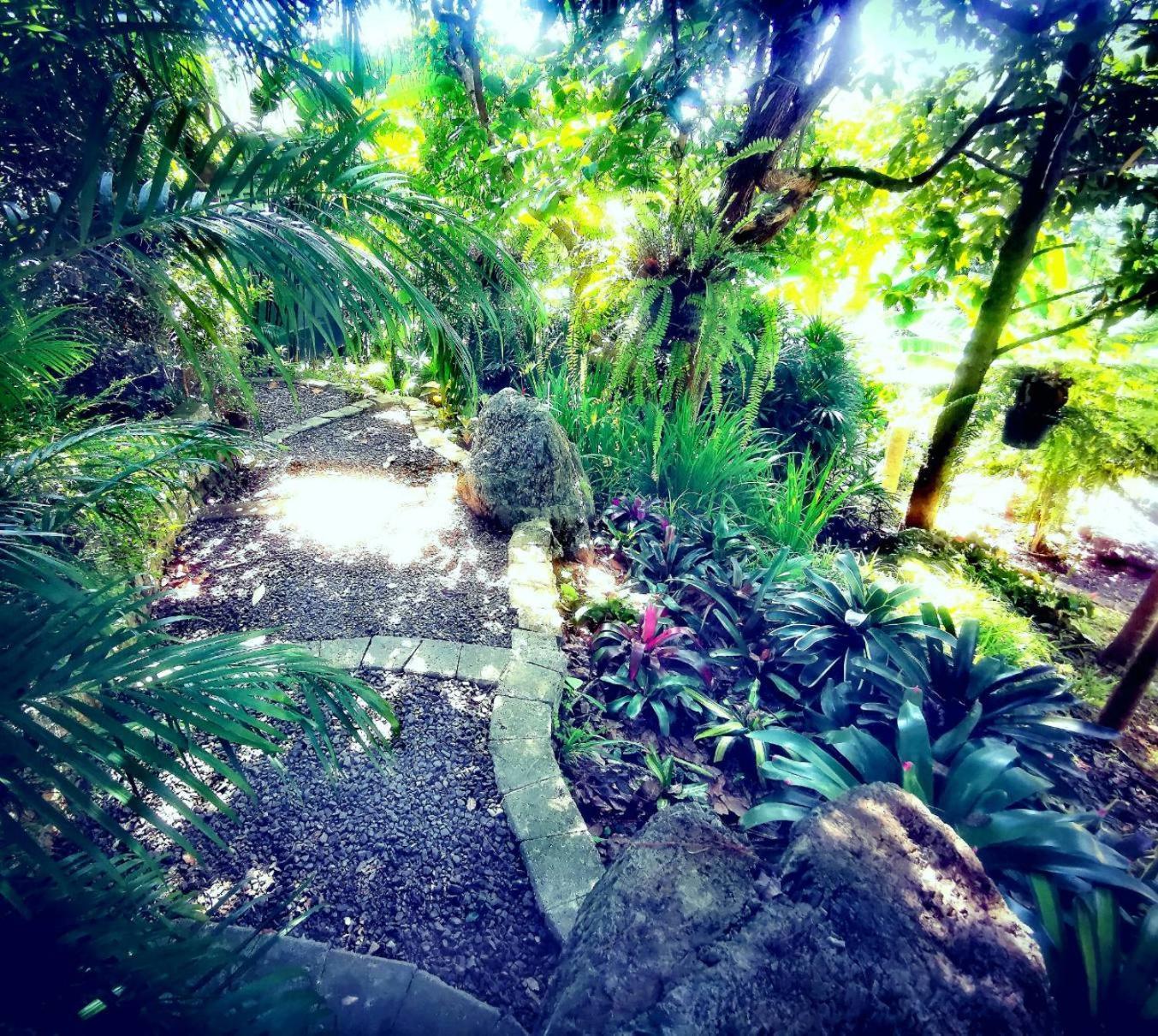 Bangnu Greenery Resort Takua Thung Bagian luar foto