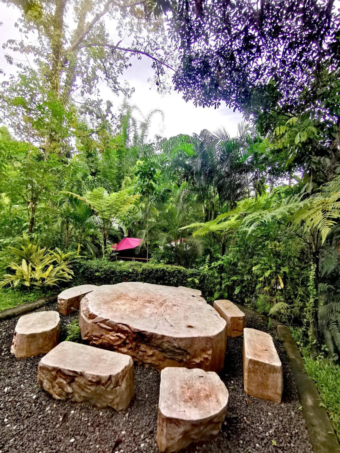Bangnu Greenery Resort Takua Thung Bagian luar foto