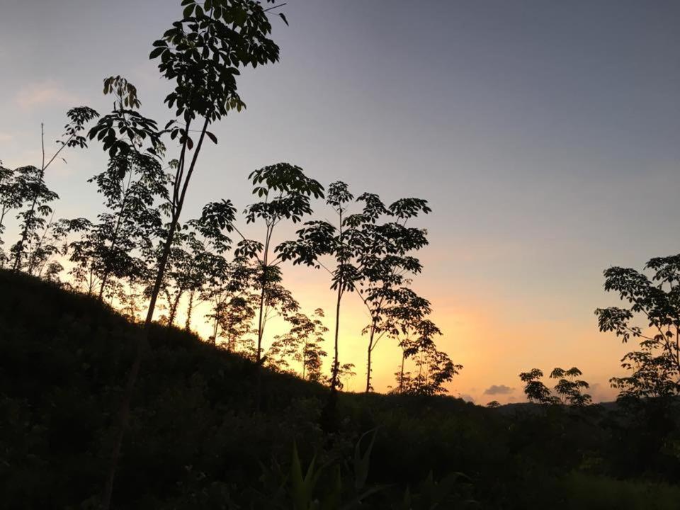 Bangnu Greenery Resort Takua Thung Bagian luar foto