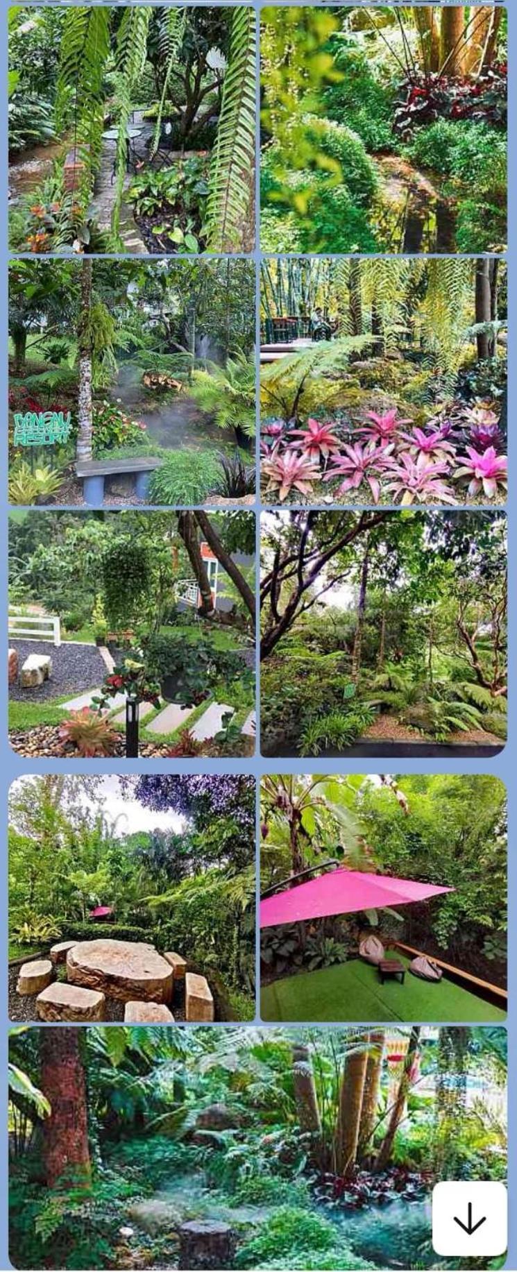 Bangnu Greenery Resort Takua Thung Bagian luar foto