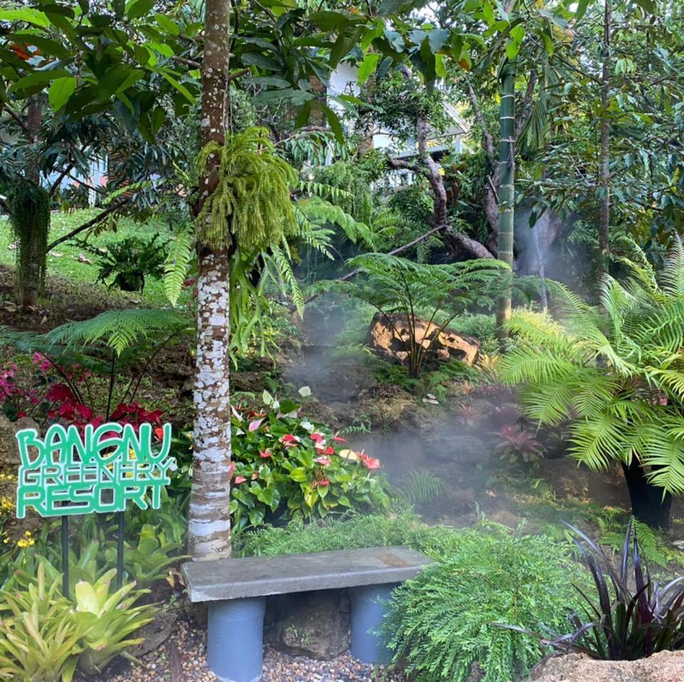 Bangnu Greenery Resort Takua Thung Bagian luar foto